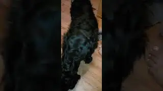 Отдай это мой кусочек!!!