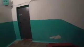 #ХочуПоржатьTV