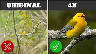 4X UPSCALE with Lightroom Classics HIDDEN tool!