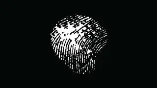 Son Lux — 