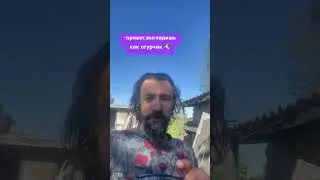 Очевидный юмор 🤓😎
