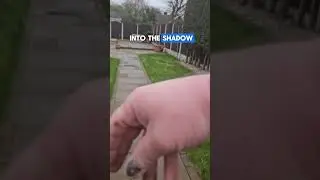 The effects of sunlight on a lawn 