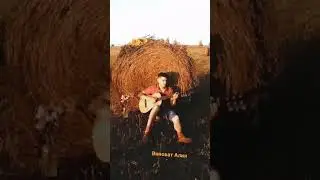 Виноват Алия