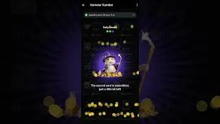 Hamster kombat daily 5 million combo, clam now #hamsterkombat