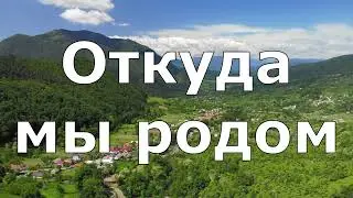 Откуда мы родом и куда идём