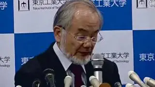 Теория заговора  Здоровое голодание