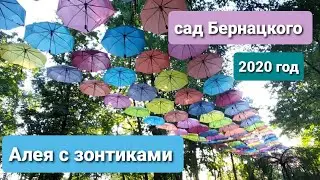Сад Бернацкого,  алея с зонтиками