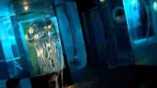 ICE BAR Stockholm 2011