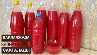 WE KEEP IN A BAKED EGGPLANT WITHOUT BOILING! Ogonek, cobra, thistle seasoning. The best recipe! C...