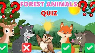 Forest Animal Sounds and Names Quiz for Kids