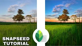 Snapseed Tutorial: Landscape Editing In Snapseed | Android |