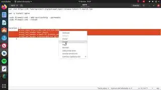 5. Instalar Nginx en Ubuntu server y configurar proxy reverse en Google cloud