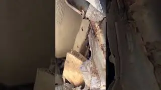 ИШАК ИЛИ ПРИОРА❓ 