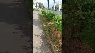 троллейбус номер 179 маршрут 8