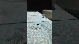 PHOTOSYNTHESIS