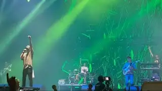 Brains 30 - Viharban születtünk - Budapest Park 2024.08.18.