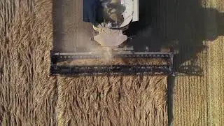 New Holland + MacDon = эффективная уборка!