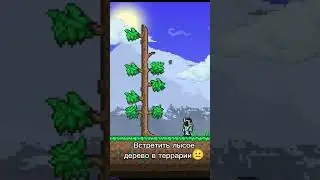 Встретить лысые деревья в Майнкрафте☠️: