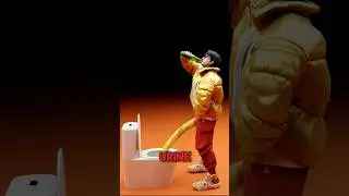 How Peeing Works 🤔