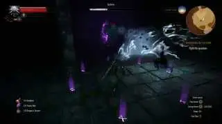 The Witcher 3 - Wandering in the Dark Golem (Death March)