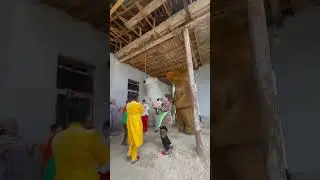 Ayiqlar uyga borib tabriklashi 932324949