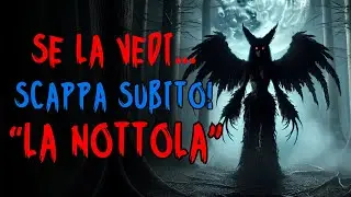 LA NOTTOLA - Predatore della Notte