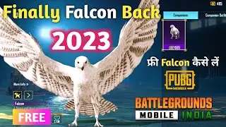 Pubg Me Kabutar Kaise Laye | Bgmi Me Falcon Kaise Le | How To Get Free Falcon Companion in Bgmi|