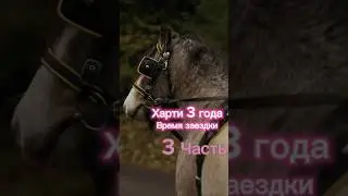 ЗАЕЗДКА. Полная версия в разделе видео