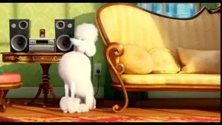 Лучший прикол!!!!