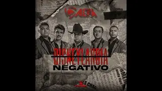 Grupo Alfa - Disneylandia Negativo (Video Lyric)