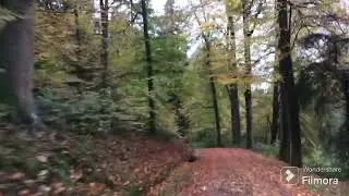 Женщины бывают разные…