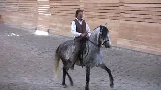 Spectacle chevaux 2
