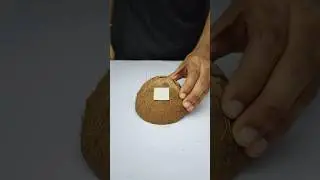 Mobile Phone Holder Making With Coconut Shell 🥥🥥🥥 #shorts #craft #coconutshellcraft #ecofriendly