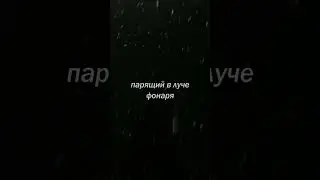Когда в наш мир придёт зима  #vocal #музыка #music #зима