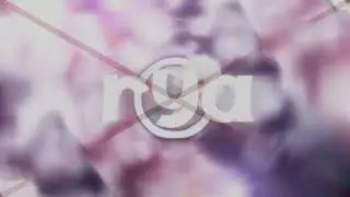 rya | параша опять