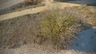 DJI Avata and Nazgul FPV at weekend
