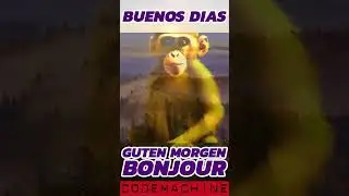 Good Morning Monkey