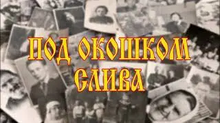"Под окошком слива". Авторская песня.