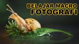 Harus Sabar Belajar Macro Fotografi | 