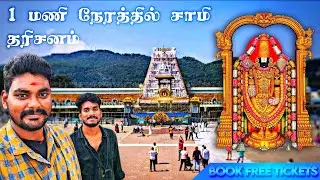 Tirumala Free Darshan in Just 1 Hours😍Best Day In Tirupati❤️ Tirupati Free Dharishanam Tickets