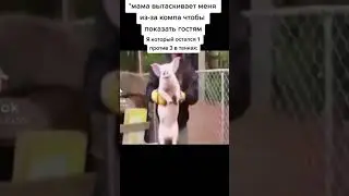 Выйди,хоть поздоровайся🤣