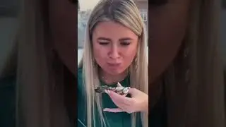 Александр Шаханин