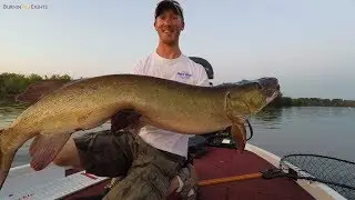 Giant Musky Eats Top Raider! - Topwater Musky Fishing