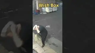 Голубь спилотировал в лысину 😂 