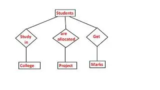 Difference between Entity and Relationship