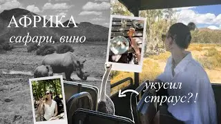 Осуществила мечту и ПОБЫВАЛА НА САФАРИ В АФРИКЕ | Vlog 2 | большая пятерка, винодельни Африки