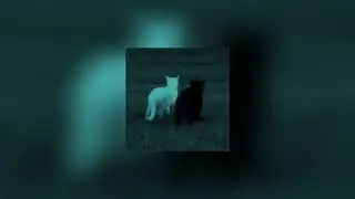 toxic nightcore