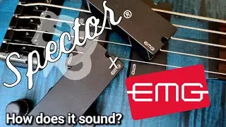 Spector Euro5 x EMG DC/P/J pickups // How does it sound?