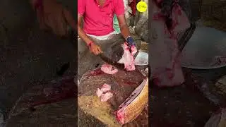 KASIMEDU RED SNAPPER FISH CUTTING VIDEO #kasimeduselvam #youtube #shorts #bigfishcutting #bigfish