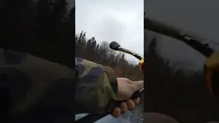 Когда нет клёва!!!